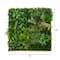 38" Framed Madagascar Forest Artificial Living Wall Art Panel